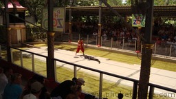 phuket photos activities